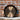 Smithey Ironware No. 14 Dual Handle Cast Iron Skillet