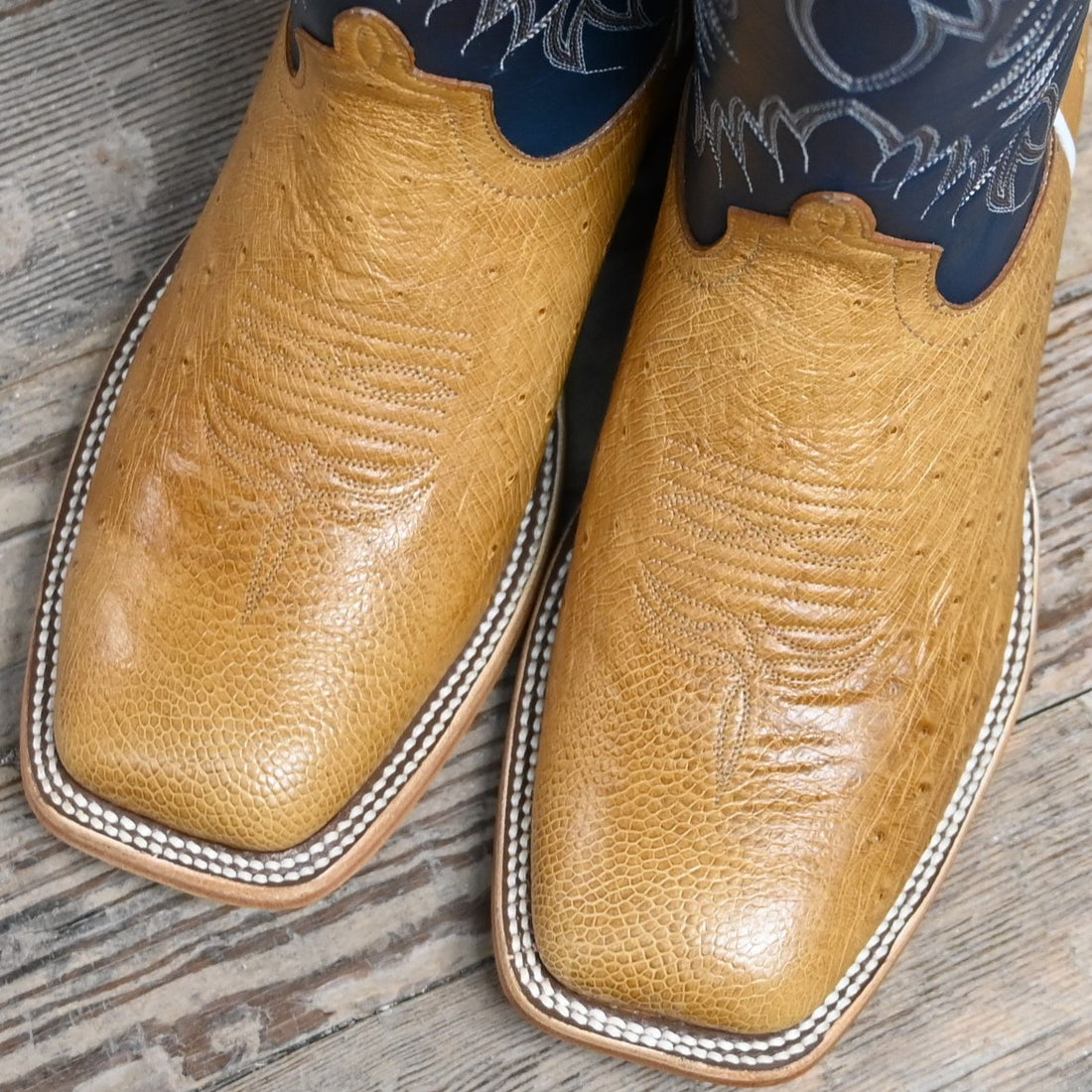 View of Horse Power 13" boot with blue glove top, antique saddle ostrich vamp, square toe, and pull straps