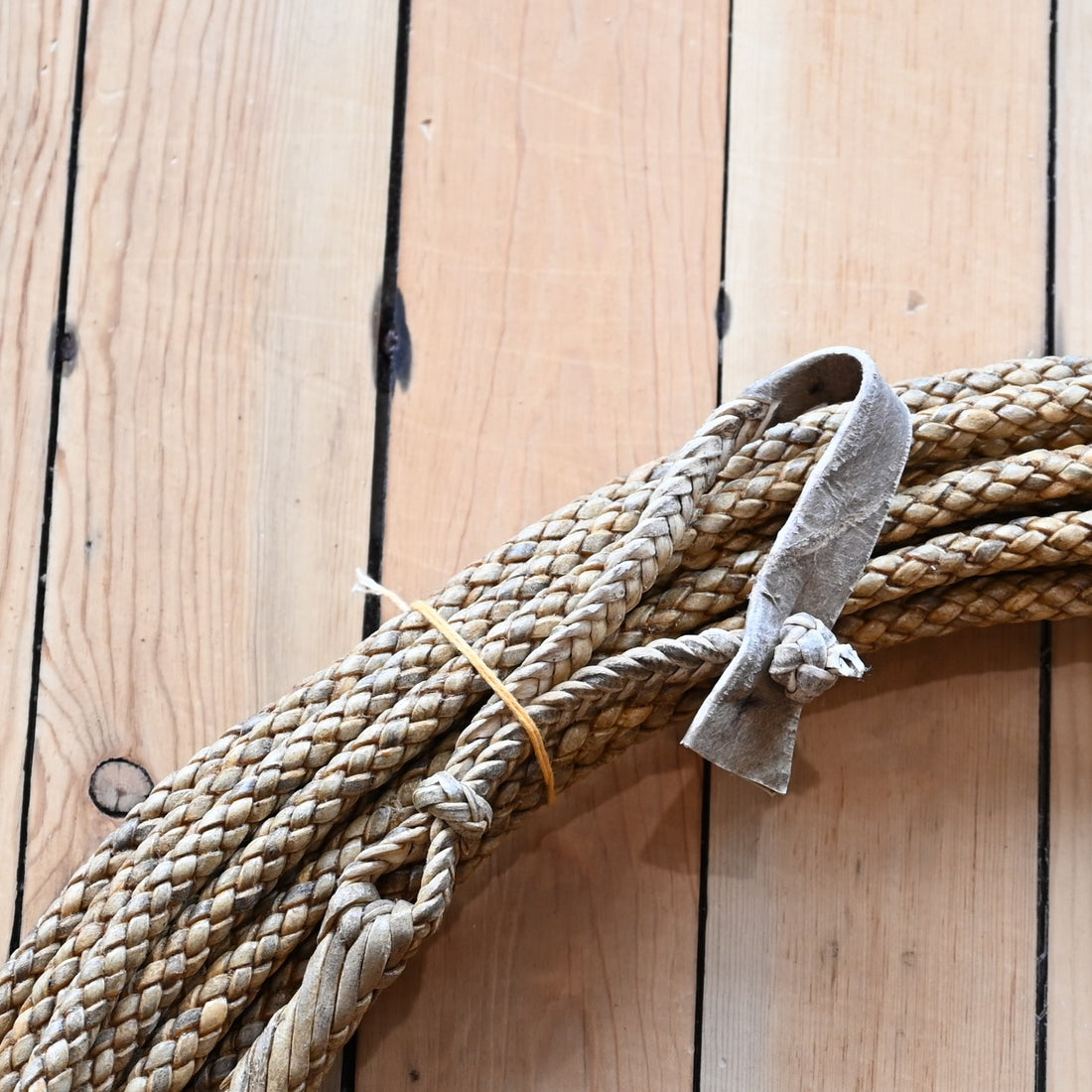 View of rope