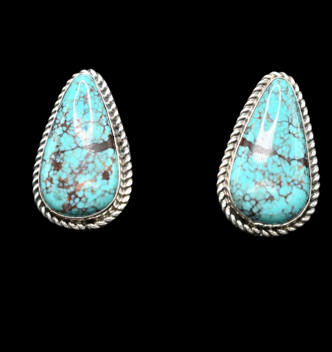 View of earrings