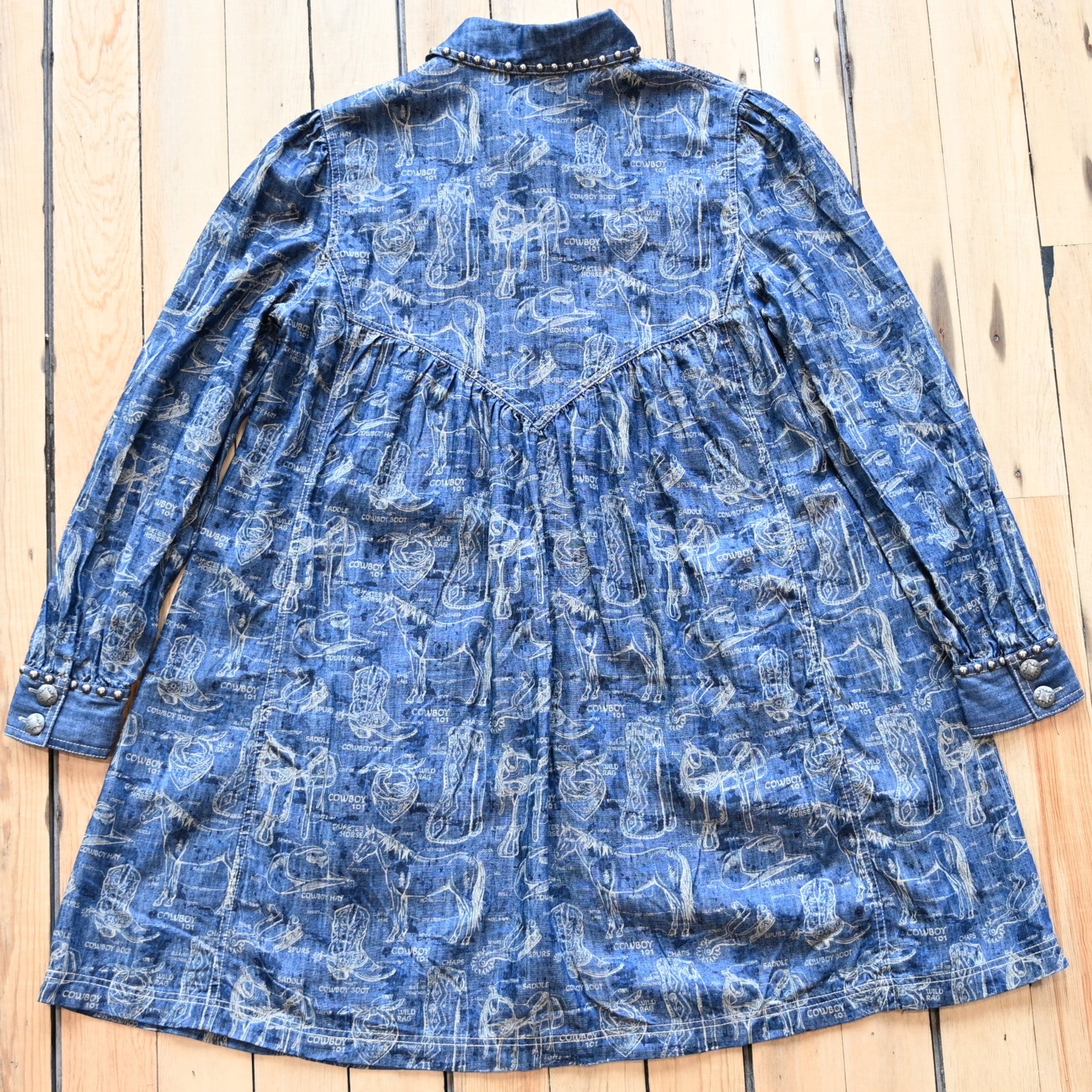 View of Double D Ranch Cowboy 101 Dress – Denim-inspired dress featuring cowboy motifs, silver studding, and concho buttons for a chic Western look