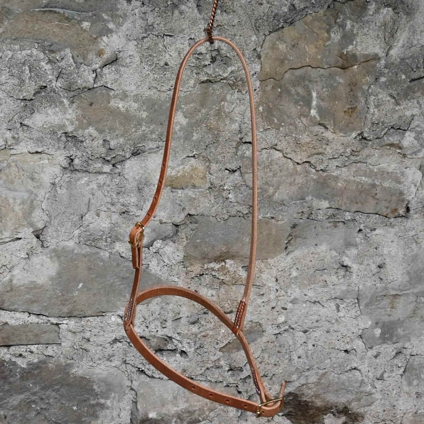 Harness Leather Cavison with Brass Hardware view of headstall