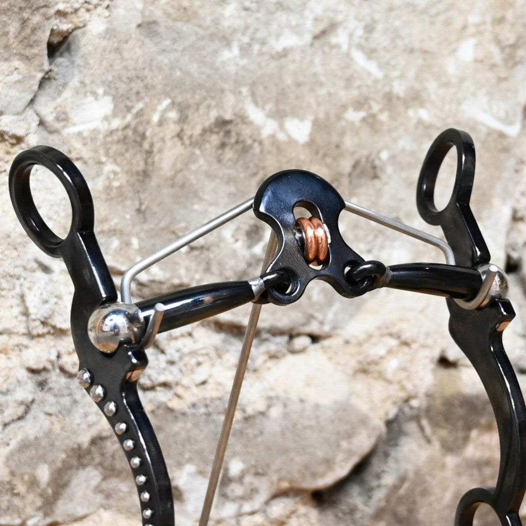 Tom Balding Cody Double Cross bit with stainless shanks and sweet iron ported mouthpiece.