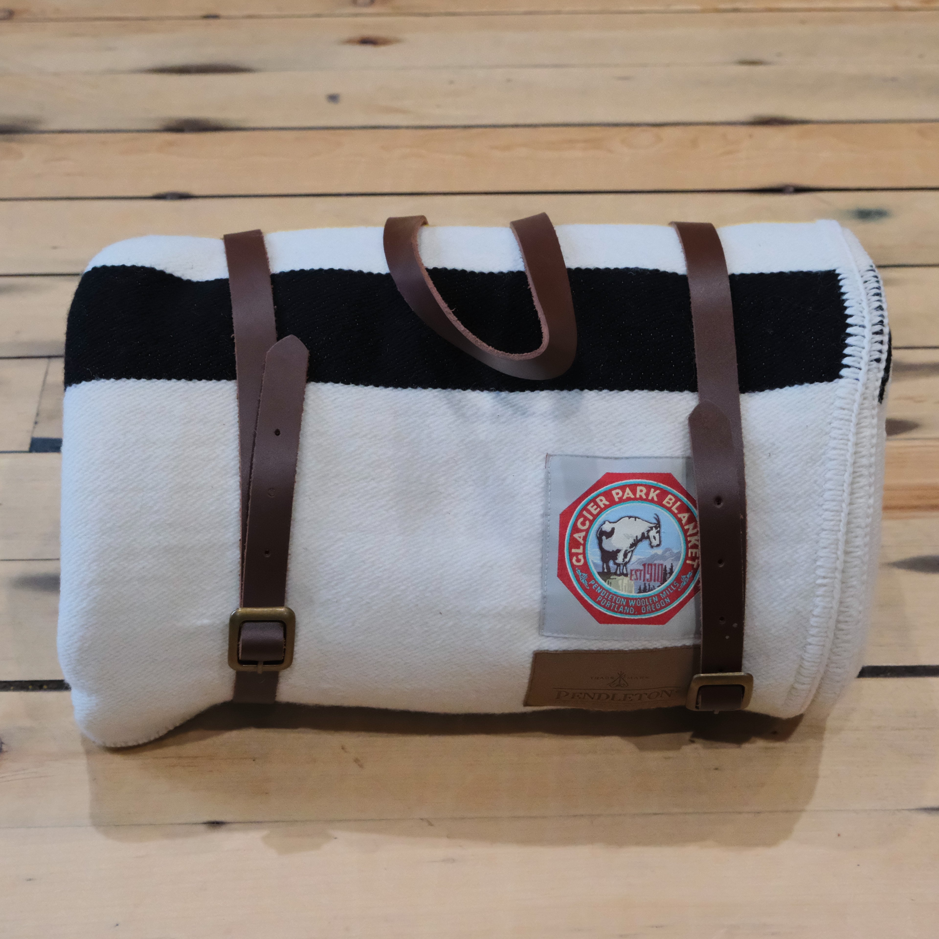 Pendleton National Park Glacier Throw with carrier wool blanket