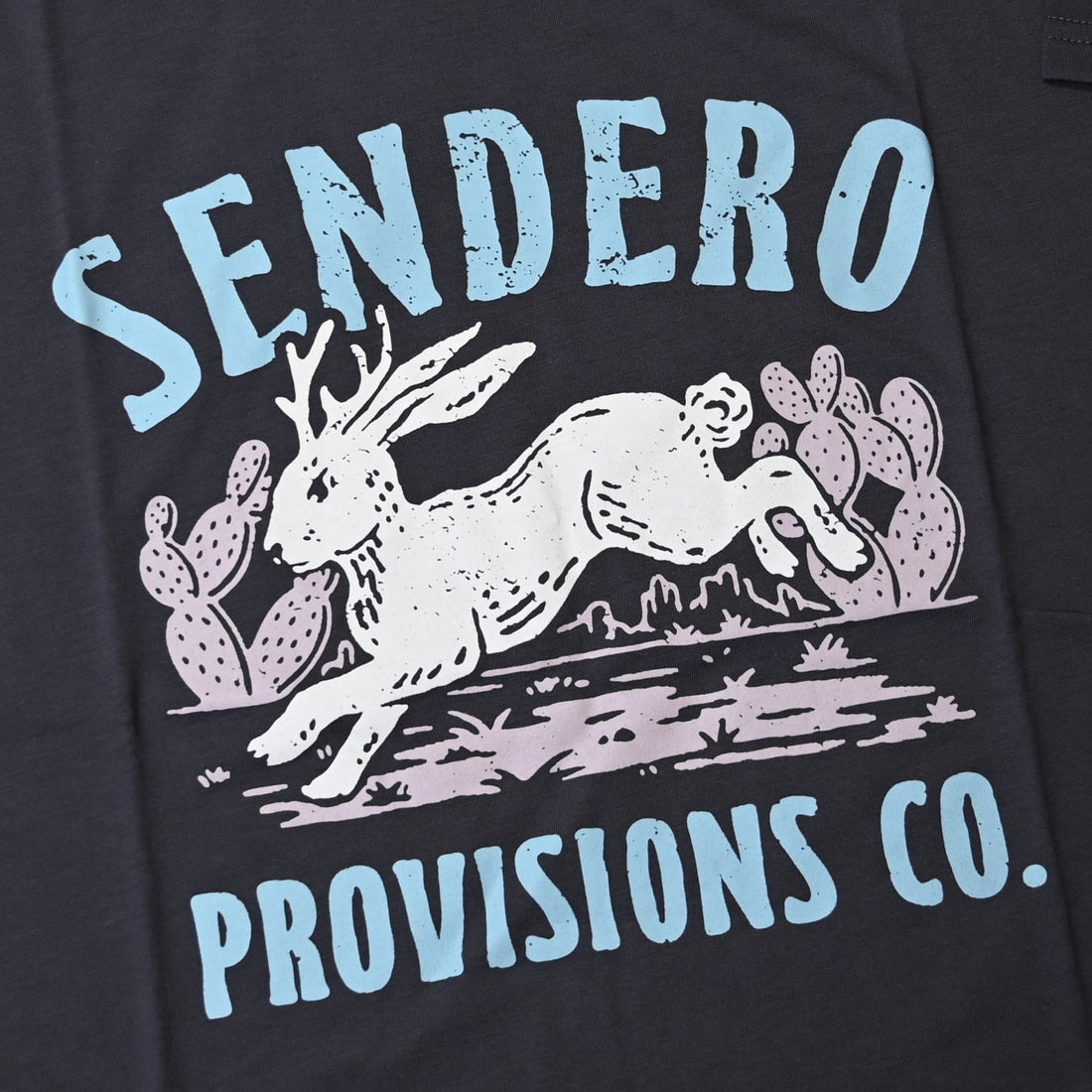 View of Sendero vintage black crop tee with jackalope and cactus desert scene graphic