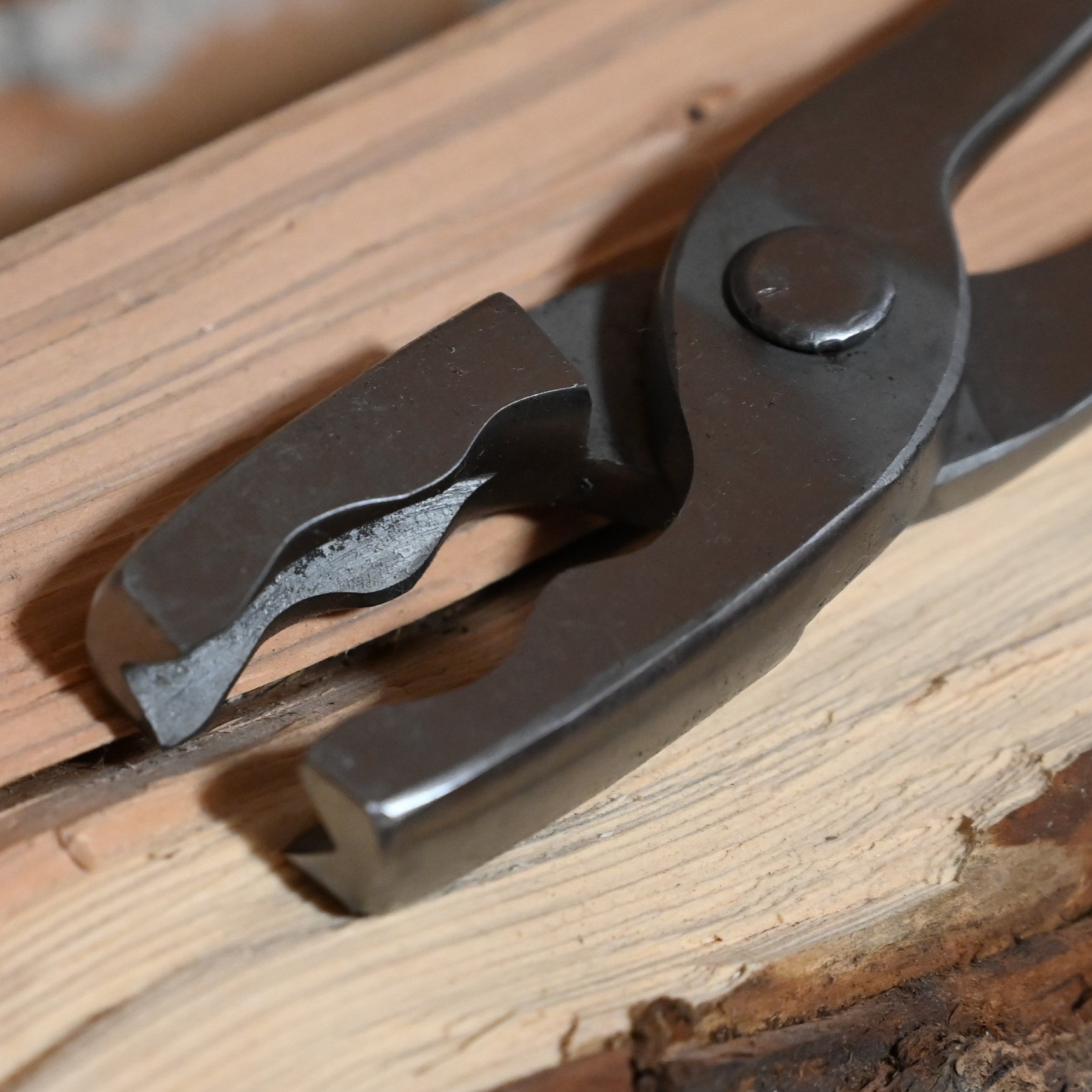 1/2" Universal Wolf Tongs W/Short 12" Handle close up view