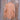 Schaefer Outfitter Pasadena Snap Shirt - Acorn