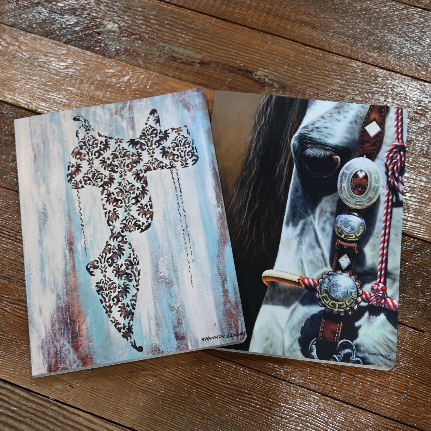 View of saddle and concho horse