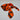 Cowboy Images King's Camo Blaze Orange Silk Wild Rag 44x44