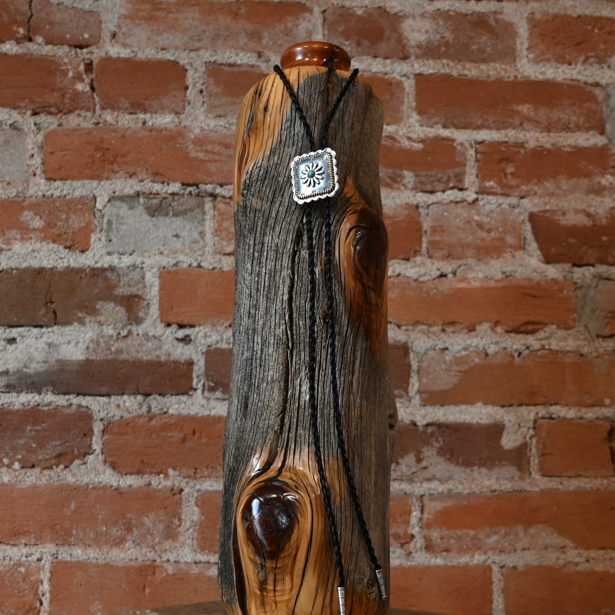 Cowboy Collectibles square turquoise horsehair bolo tie with 1½ inch concho and metal tips