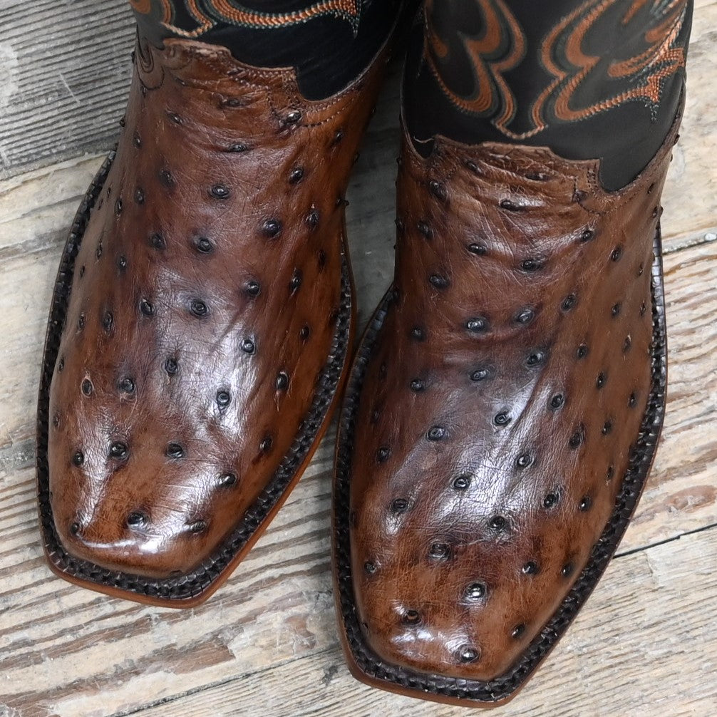 View of Hyer COLBY 13&quot; boots showcasing Tabac Full-Quill Ostrich leather vamp and Black Top-Shelf Cowhide top with Cutter toe and Underslung heel