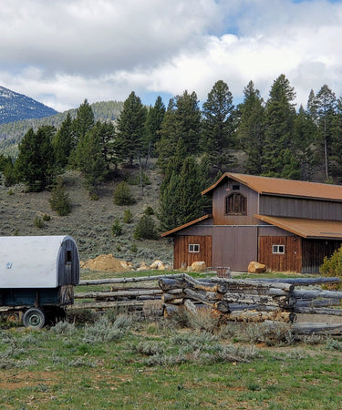 A photo of an old covered wagon next to a brown barn in a mountain valley