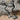 Dutton long cavalry shank straight chain bit with copper roller and rein chain