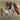 MT Wild Rags 36" The Sidney - Orange Wild Rag