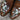 View of Macie Bean youth Honey Bunch boot with floral top, pointed toe, and cowgirl heel