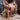 Deeter Custom Saddlery 15.5" Roughout Luellen Saddle