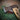 Mueller Beaver-Classic "S" hatchet 400g, hickory handle