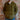 View of Filson Beartooth Jac-Shirt in Marsh Olive Stripe featuring snap-flap chest pockets and reinforced forearms