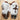 View of Rockin' Y Saddlery Adult Tibetan Wooly Chinks in Frosted with concho accents