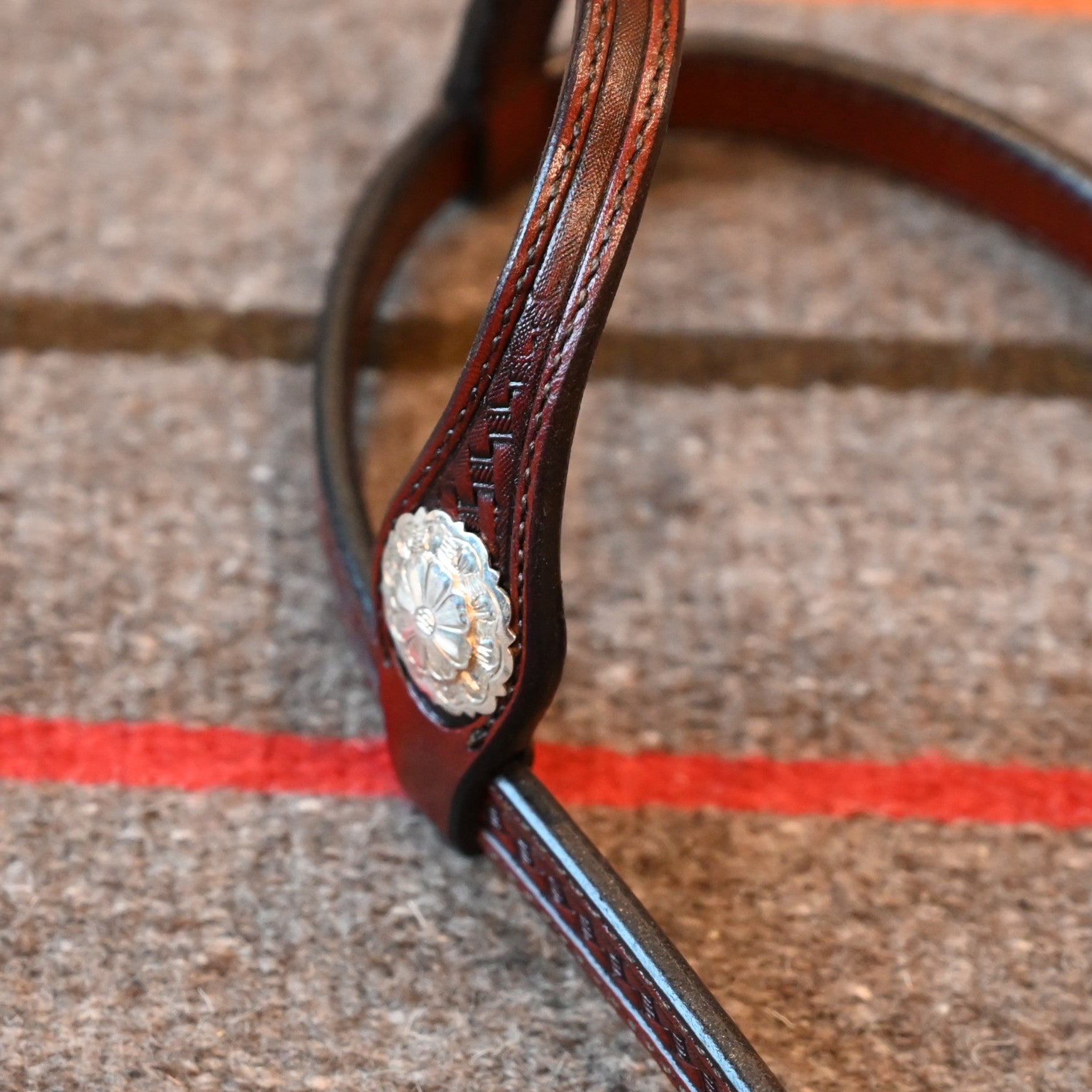 View of headstall