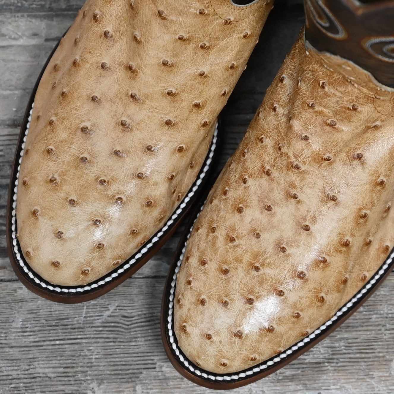 View of Hondo full quill umber ostrich boot with brown volcano top, medium round toe, and pull straps