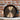 View of Smithey No. 14 Dual Handle Cast Iron Skillet with polished interior and dual ergonomic handles