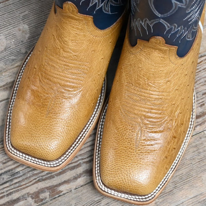 View of Horse Power 13&quot; boot with blue glove top, antique saddle ostrich vamp, square toe, and pull straps