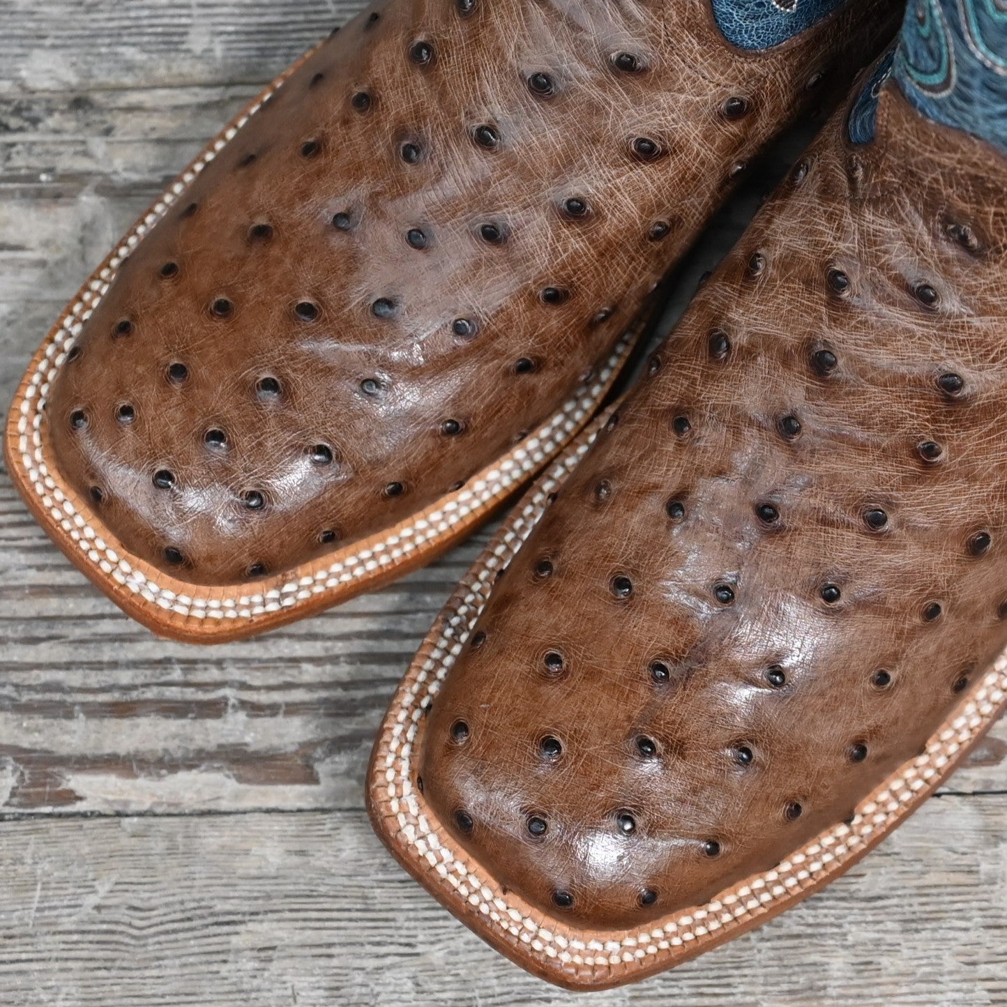 View of Hyer JETMORE 13&quot; boots showcasing tabac full-quill waxy ostrich vamp and blue vintage goat upper with broad square toe and Stockman block heel