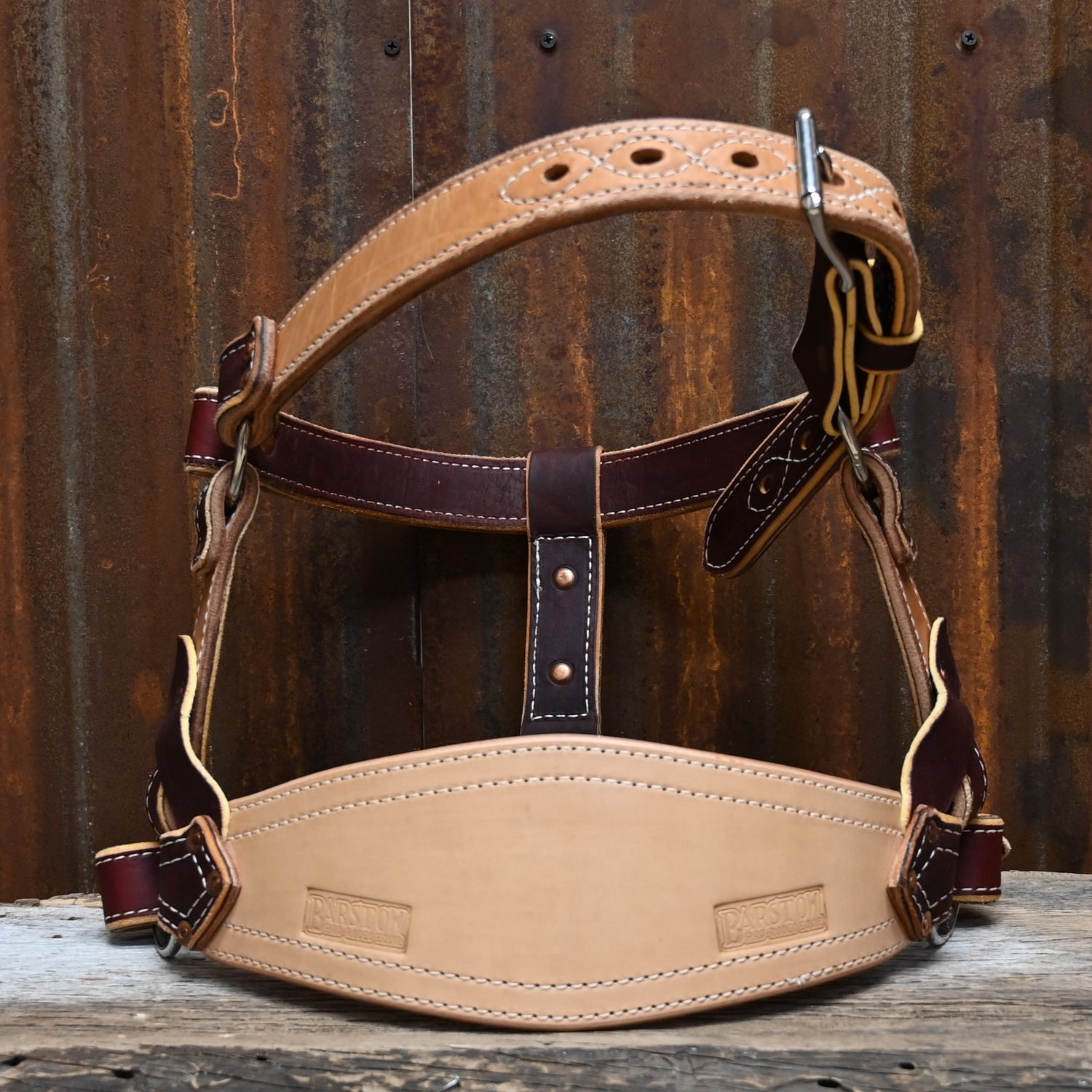 Nez de cheval image stock. Image du halter, fourrure - 24863685 Nez de cheval image stock. Image du halter, fourrure - 24863685