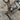 Tom Balding Switchback bit with square port mouthpiece