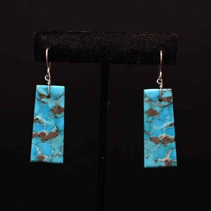 View of earrings