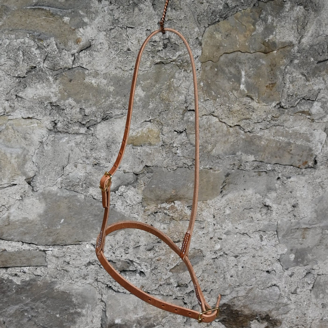 Harness Leather Cavison with Brass Hardware view of headstall