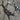 Tom Balding Sierra Double Cross Bit