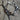 Tom Balding Sierra Double Cross Bit