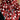 Fringe Scarves - Red Baldy Silk Wildrag