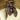Cowboy Images Charmeuse Code Brown Wild Rag 44X44