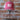 BEX Wyatt cranberry and beige felt hat with structured crown and contrasting brim