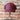 Grace 'n Grit Pony-Tail Trapper Hat - Dusty Rose
