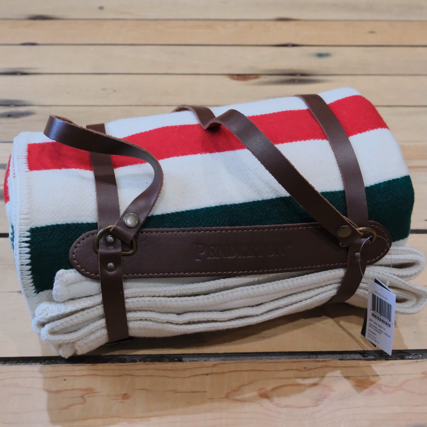Pendleton National Park Glacier Throw with carrier wool blanket