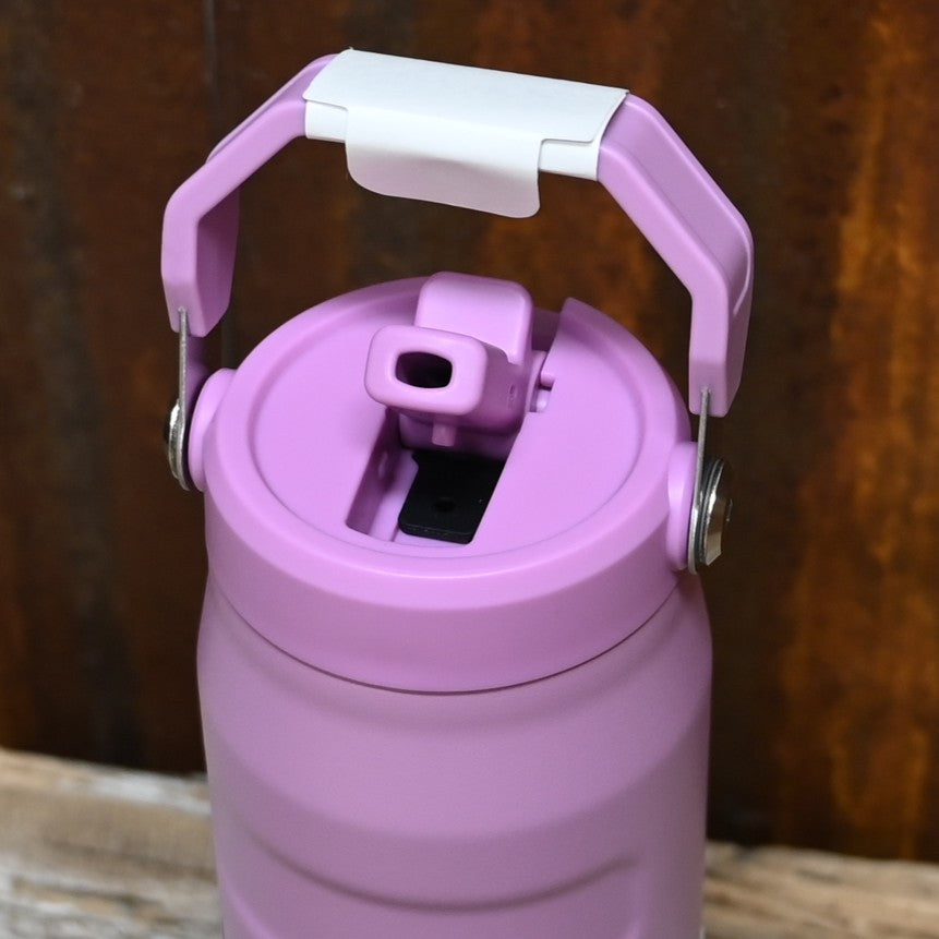 Stanley IceFlow 24-oz Flip Straw Tumbler in Lilac with built-in straw lid and handle