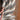 JT Silversmiths 22' 5/8" Mane Horsehair Mecate (Light Colors / Light Tan)
