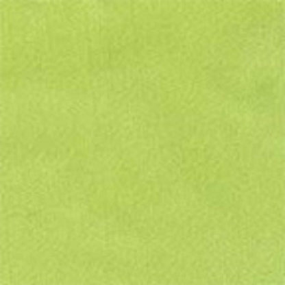 Cowboy Images 36x36 silk wild rag in light green