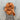 MT Wild Rags 44" The Flint Creek - Orange Wild Rag