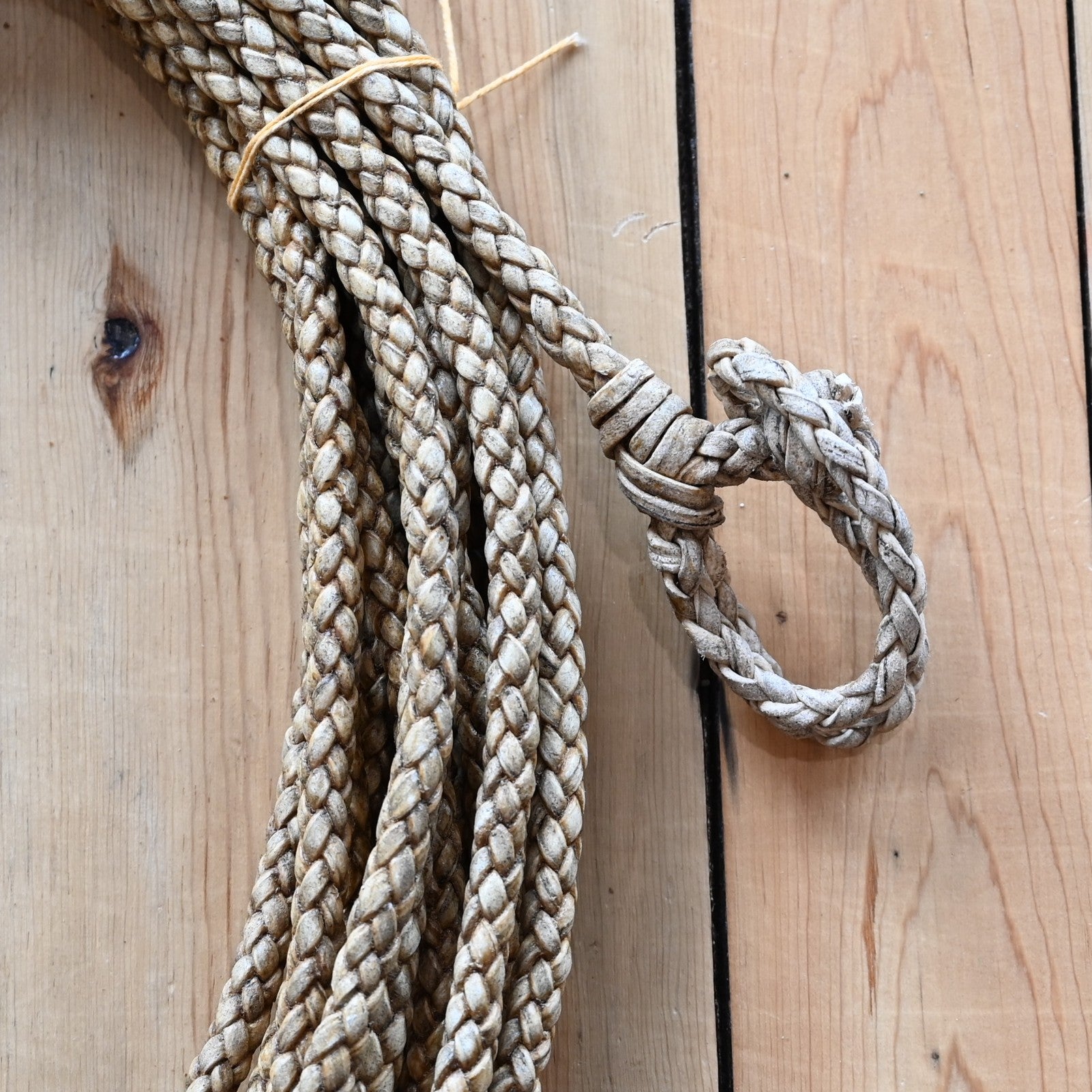 View of rope