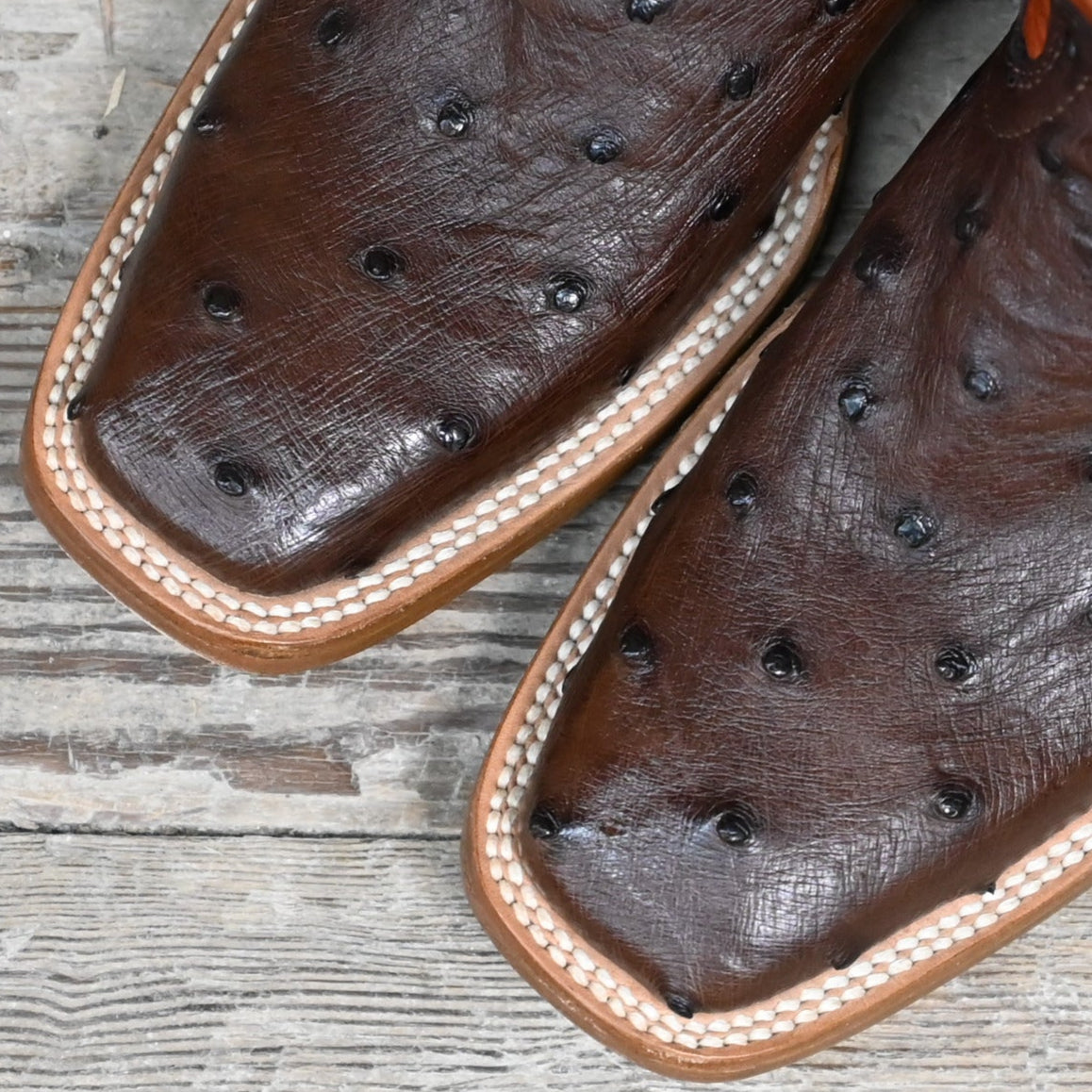 View of Hondo 11&quot; cowboy boot with orange volcano top, brown full quill ostrich vamp, and medium square toe