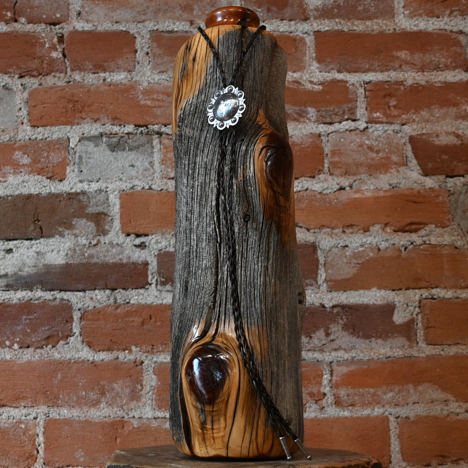 Cowboy Collectibles traditional solid tone horsehair bolo tie with 1½ inch concho and metal tips