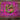 Fringe Scarves - Hold Your Horses Silk Wildrag in Pink