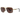 View of sunglasses