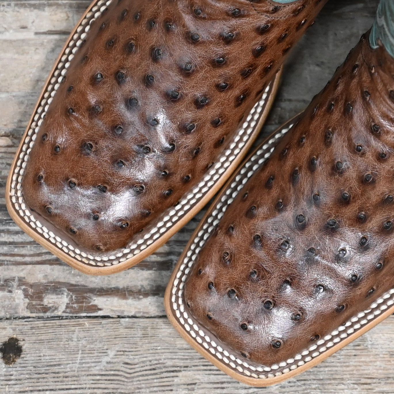 View of Macie Bean 12″ boot in sky blue shaft with Kango tobacco ostrich vamp, almond toe and cowgirl heel