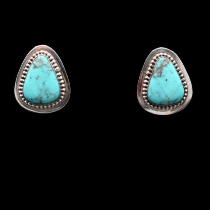 View of earrings